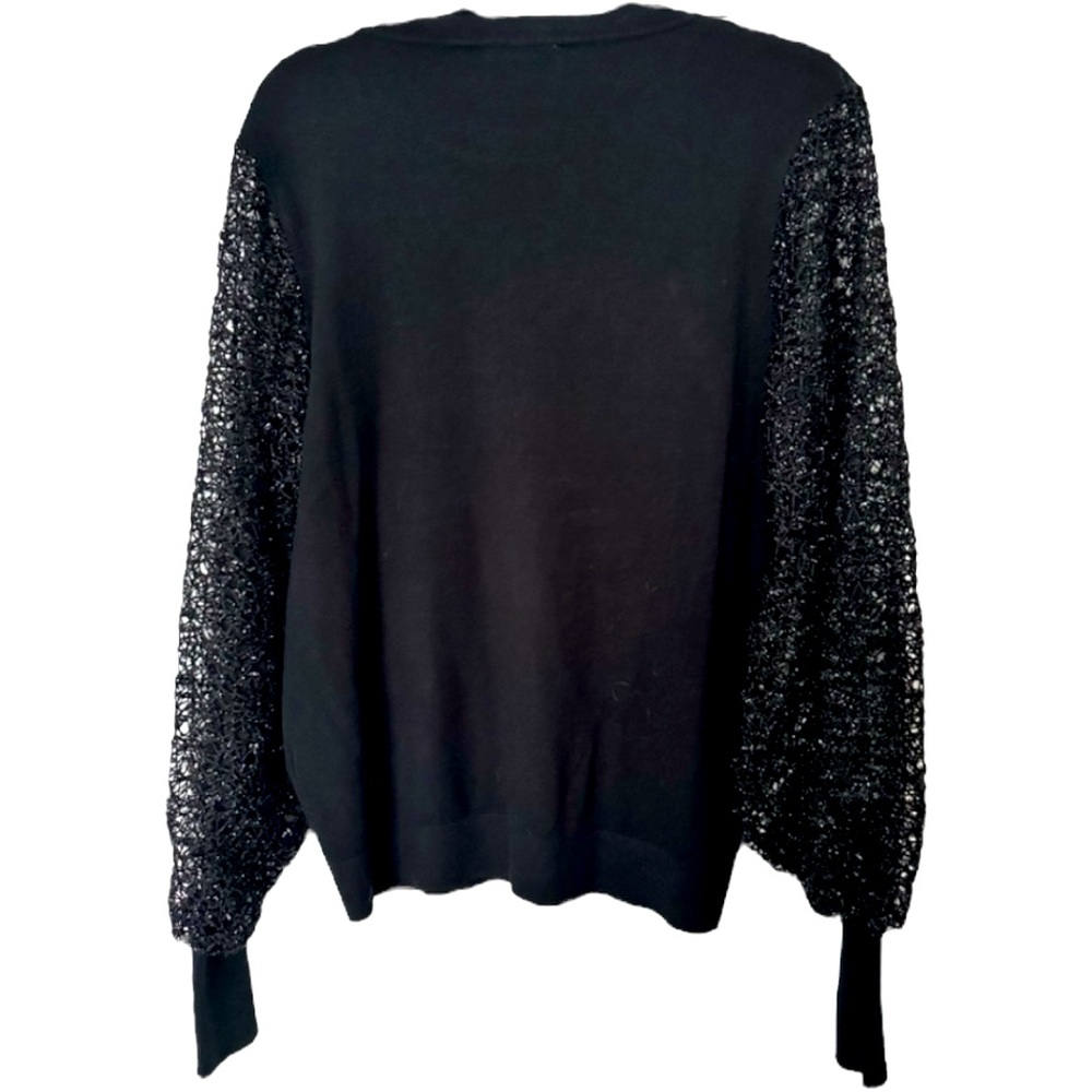 SIONI Semi Sheer Sparkle Sleeve Sweater